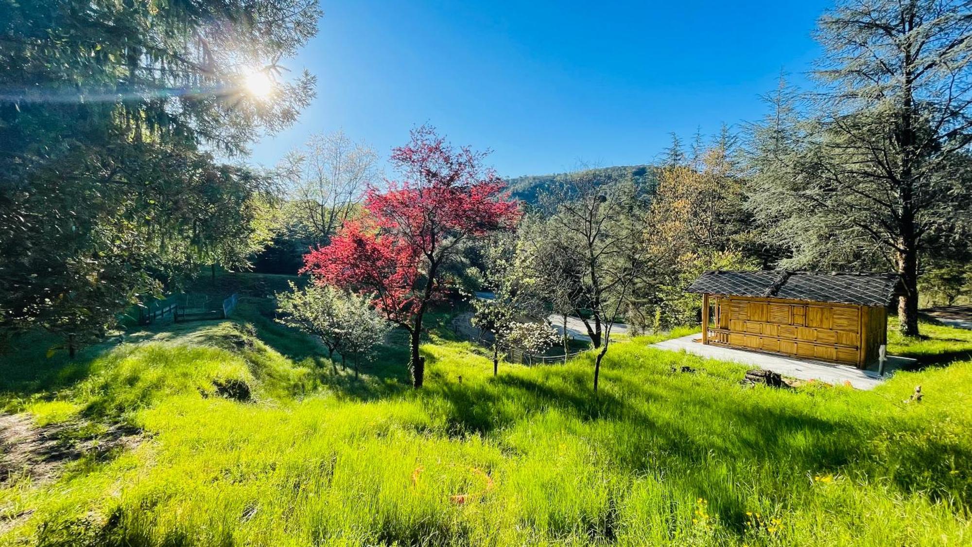 Suite Bambou Bien-Etre A Bali - Le Soleil Des Cevennes Saint-Jean-du-Gard Ngoại thất bức ảnh
